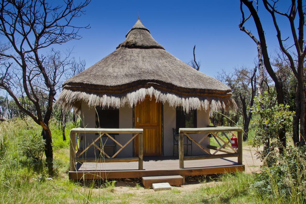 Wildside Safari Camp Villa Golders Green Dış mekan fotoğraf